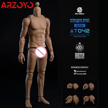 Worldbox AT042 1/6 Азиатское Мужское Гибкое тело с суставами, Прочное Тело солдата, Узкоплечая фигурка, модель куклы Q3 2023