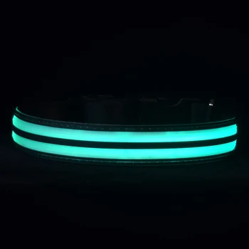 Нейлоновый Светодиодный светящийся ошейник для домашних собак, перезаряжаемое через USB Светящееся Мигающее ожерелье, Ночные защитные ошейники для домашних животных для прогулок на открытом воздухе